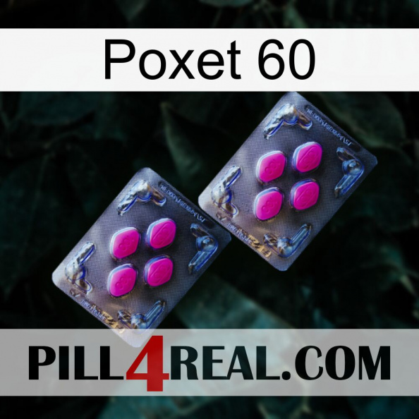 Poxet 60 01.jpg